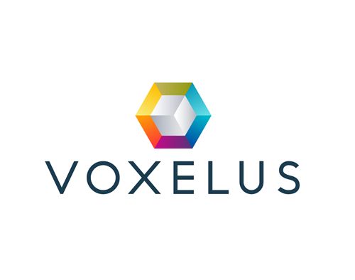 Voxels